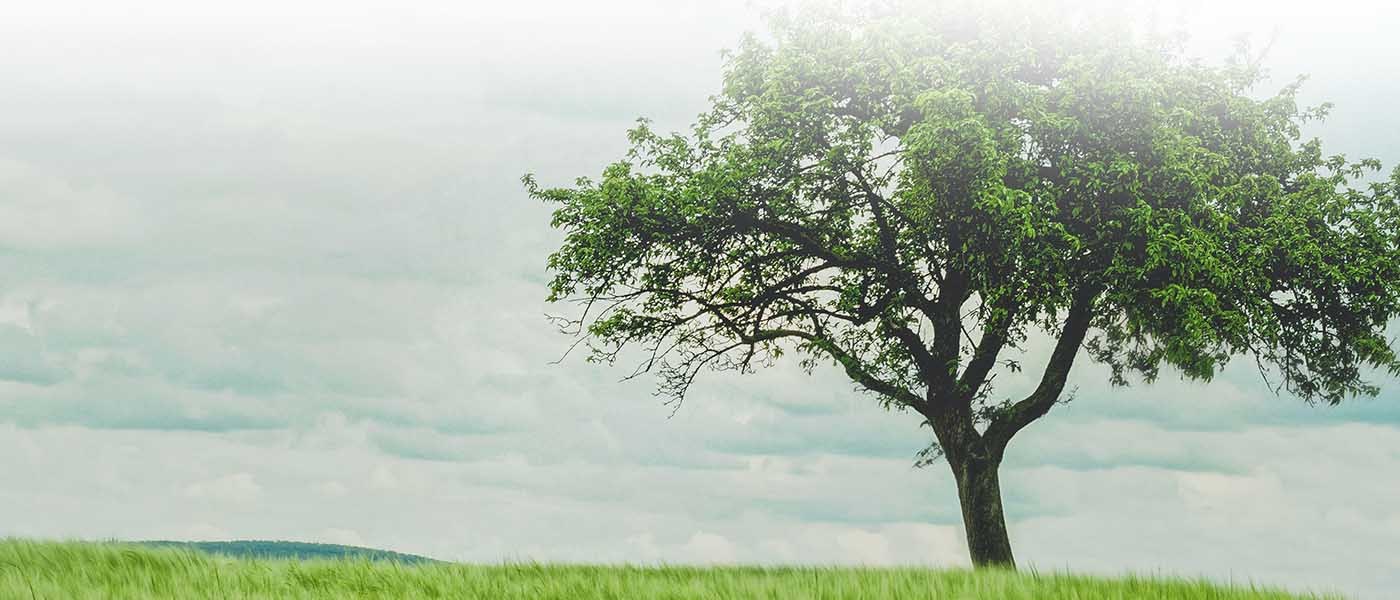 MCM Launches Renewed Focus on Congregational Health